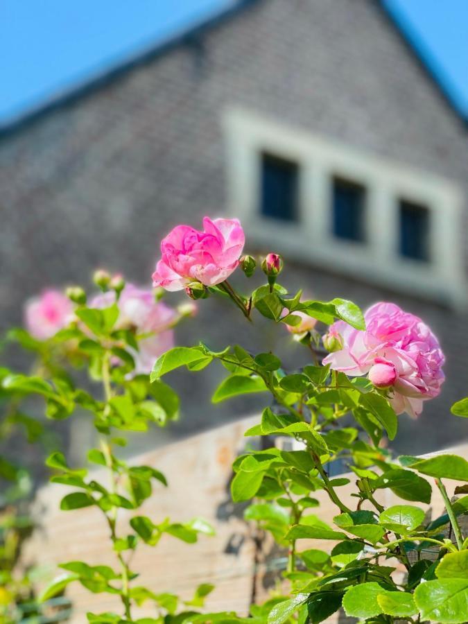 Bed and Breakfast A Little Peace And Quiet Wahlwiller Экстерьер фото